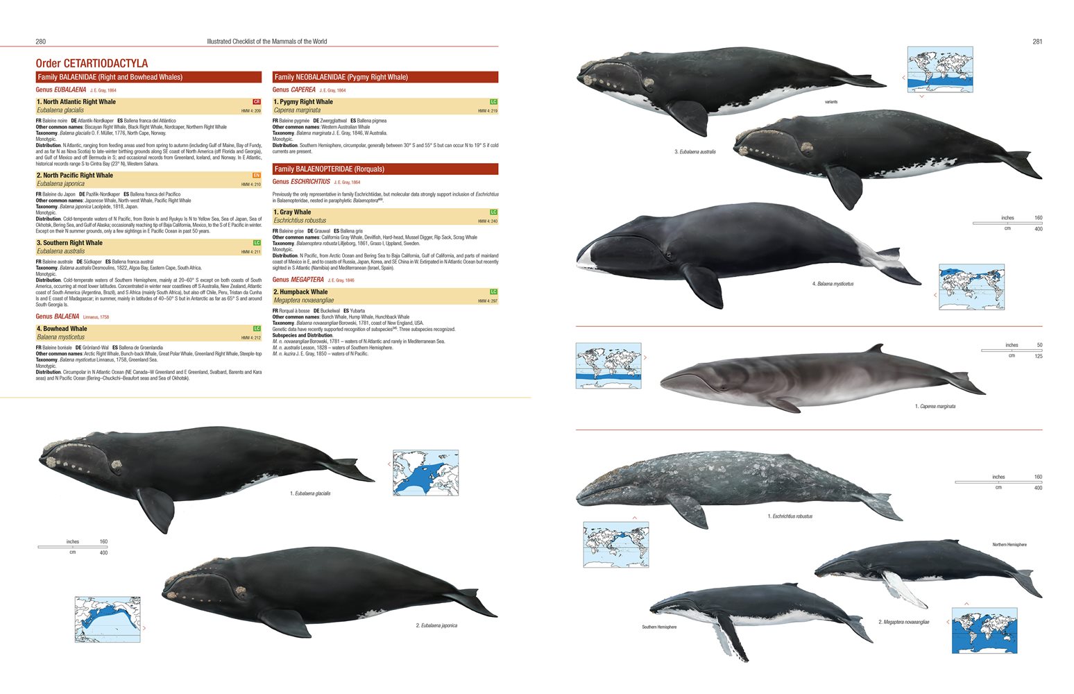 Illustrated Checklist of the Mammals of the World - Naturbutiken