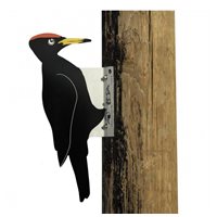Dummy woodpecker in tin