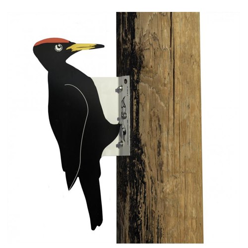 Dummy woodpecker in tin
