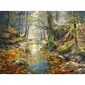 Puzzle autumn in the forest 2000 pcs