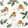 Napkin Robin