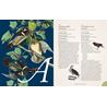 Complete Language of Birds