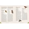 Complete Language of Birds