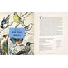 Complete Language of Birds