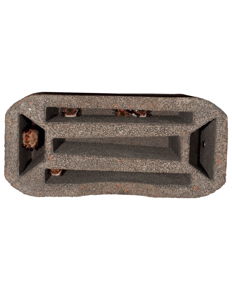bat-brick-roost-1gs-naturbutiken