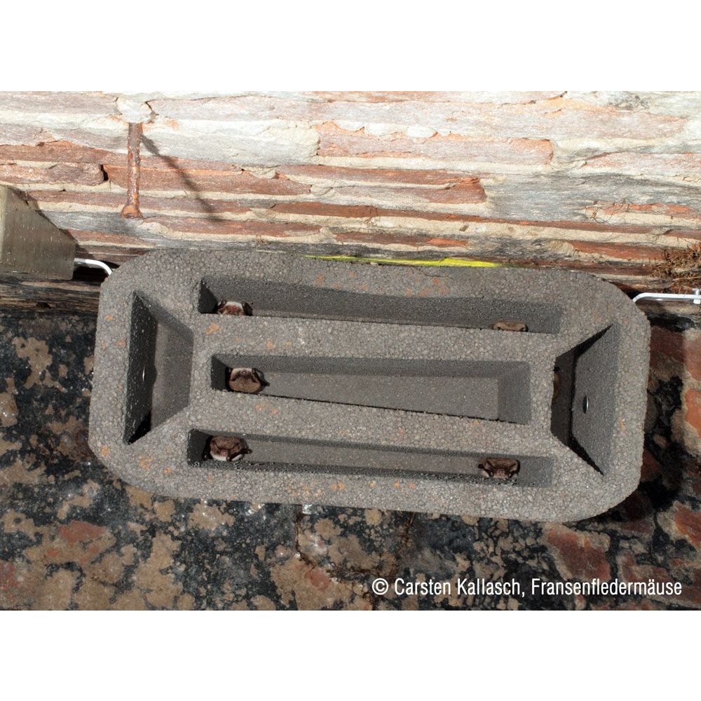 bat-brick-roost-1gs-naturbutiken