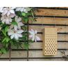 Insect box wood