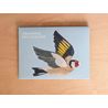 Bird Garland by Alice Melvin