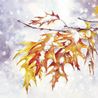 Frosty Leaves Lunch