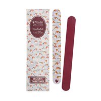 'Season's Tweetings' Robin Christmas Nail File