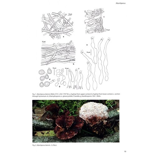 Poroid fungi of Europe (Ryvarden & Melo) - Naturbutiken
