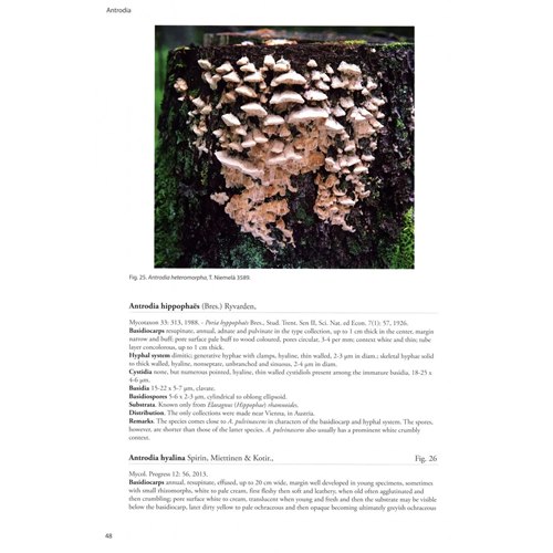 洋書 きのこ図鑑 Poroid fungi of Europe 洋書きのこ図鑑Poroid fungi