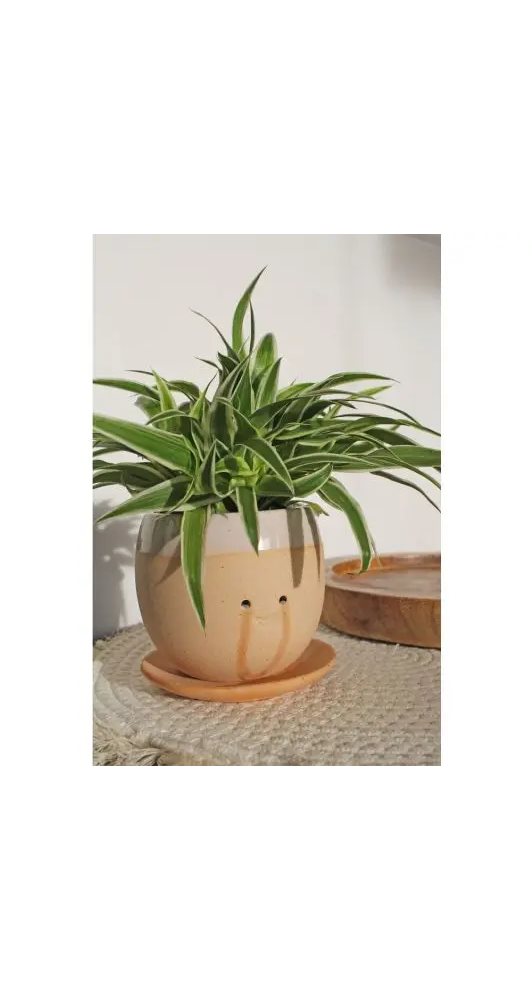 Crying Plant Pot - Naturbutiken