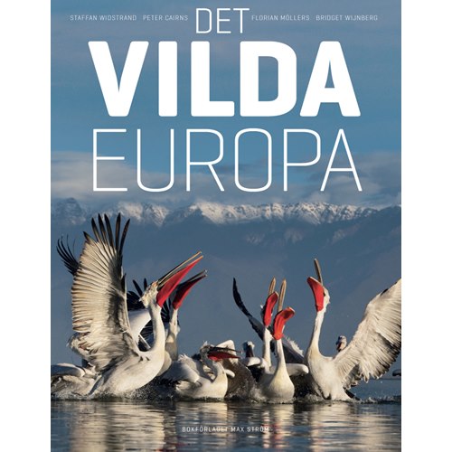 Det vilda Europa