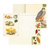 Notebook forest animals