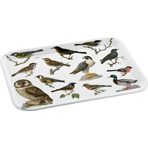 Tray with different birds