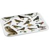 Tray with different birds