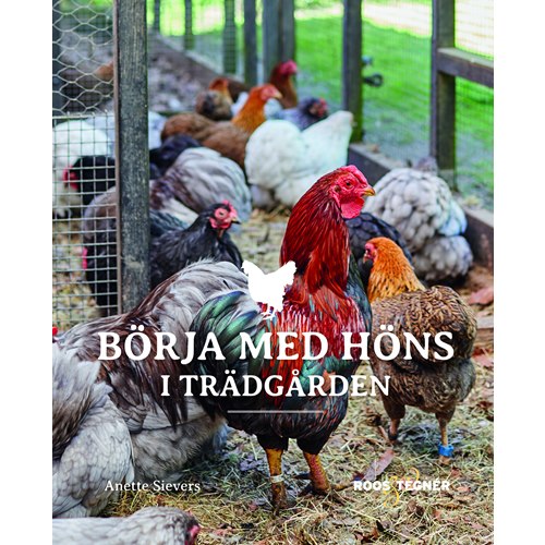 Börja med höns i trädgården