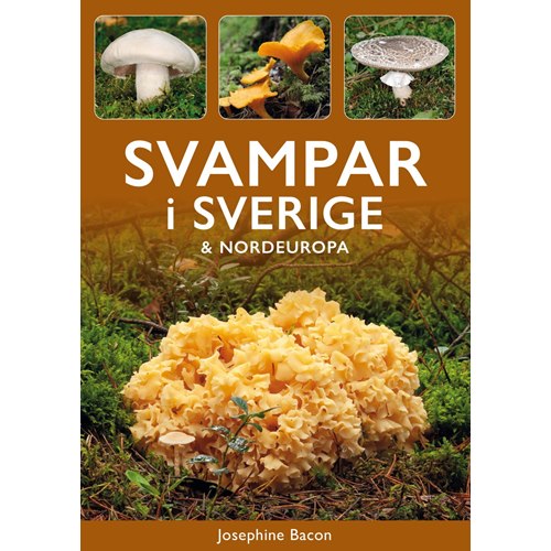 Svampar i Sverige och Nordeuropa