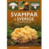 Svampar i Sverige och Nordeuropa