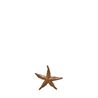 Starfish