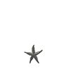 Starfish
