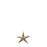 Starfish