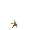 Starfish