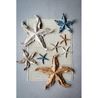 Starfish