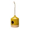 Birdnest yellow
