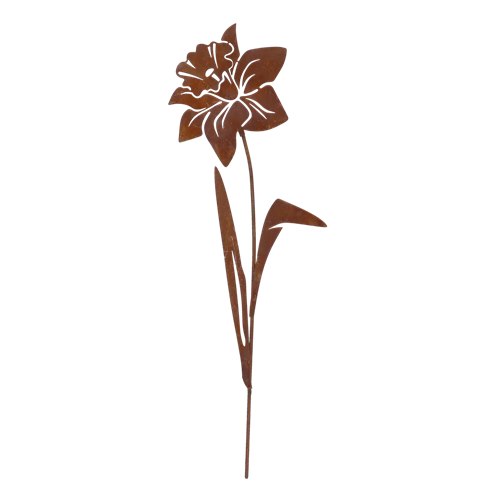 Rust garden stake narcissus