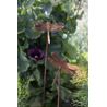 Dragonfly Garden Stick Mix