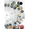 Fungi of Temperate Europe: Keys to the Basidiomycotes