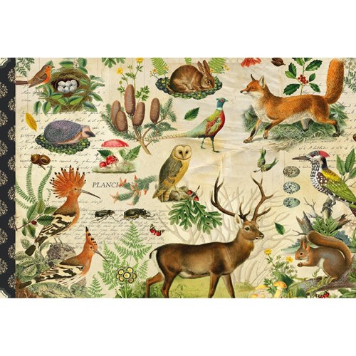 Forest Animals Postcard 10 x 15 cm