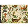Forest Animals Postcard 10 x 15 cm