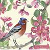 Blossom Emma Bridgewater Cream Lunch