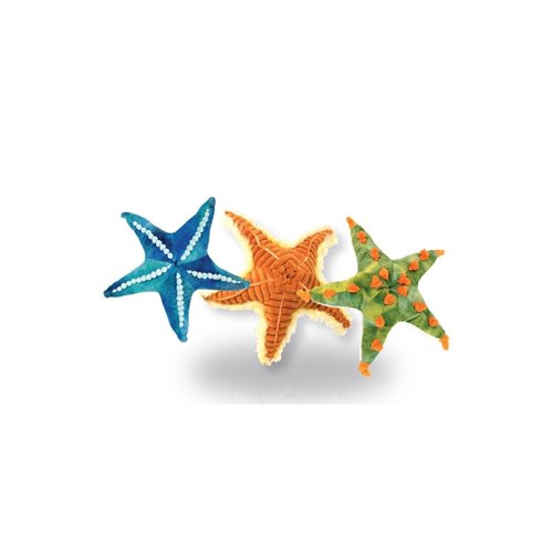 CK-Mini Starfish Assorted