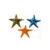 CK-Mini Starfish Assorted