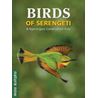 Birds of Serengeti & Ngorongoro Conservation Area