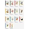 Bird Journal 2027