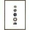 Sea Urchins Art Print – A4