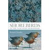 Shorebirds of the Northern Hemisphere