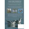 Shorebirds of the Northern Hemisphere