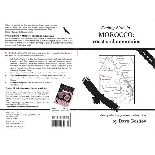 Finding Birds in Morocco: coast and mountains