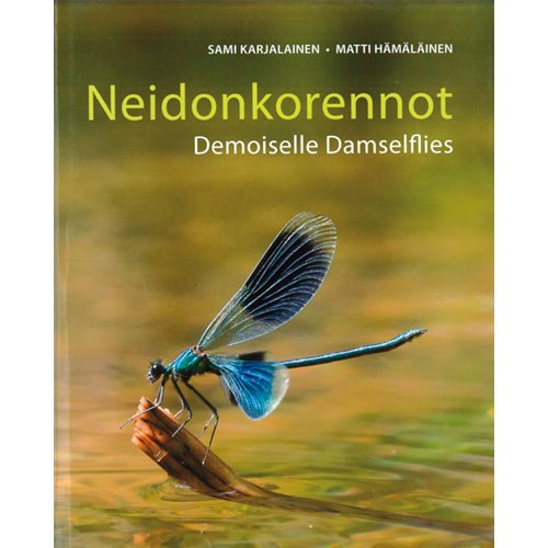Demoiselle Damselflies Neidonkorennot