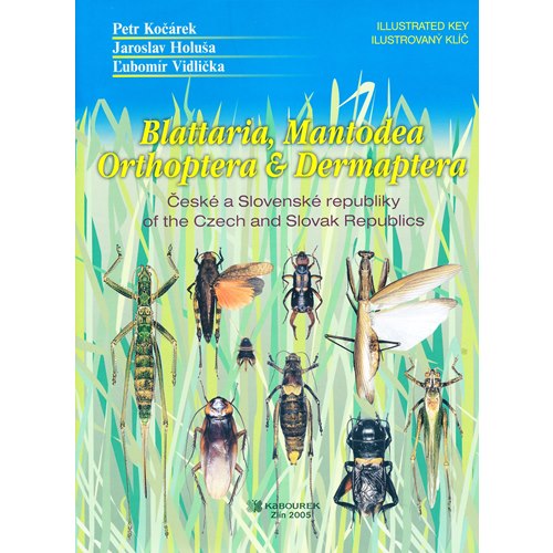 Blattaria, Mantodea, Orthoptera and Dermaptera of the Czech and Slovak epublics
