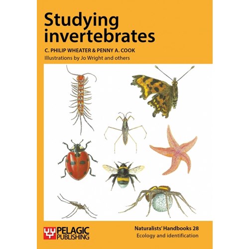 Studying invertebrates