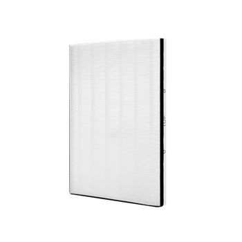 Filter Breathe E12 Pollen Protect EFWBTH3 Electrolux Well A
