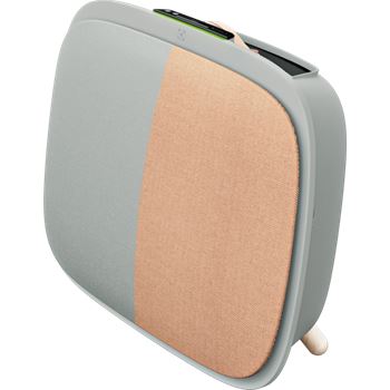 Decorkit luftrenare EKITW2 Electrolux Well A soft birch