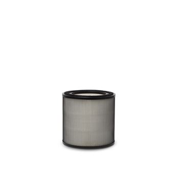 Filter Breathe Complete Air Filter EFFBTH2 Electrolux Pure500/FlowA3